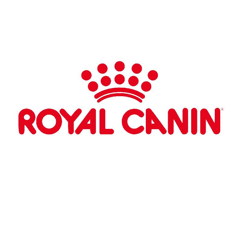 p1xel Website - Kunden & Marken | Royal Canin